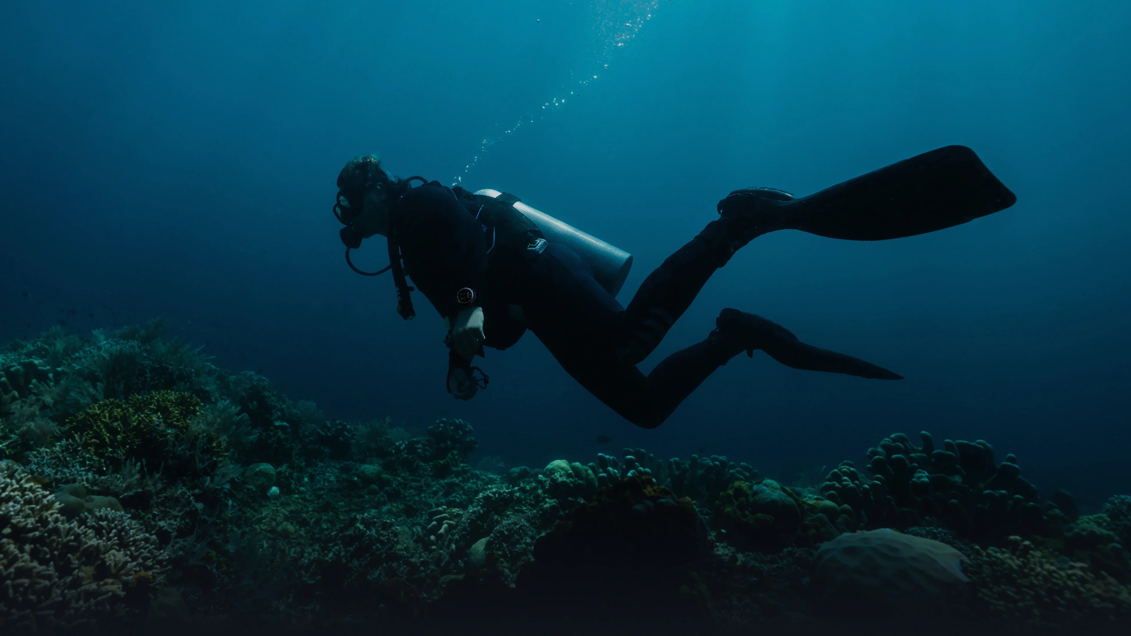 The Complete Scuba Diving Watches Guide for Beginners